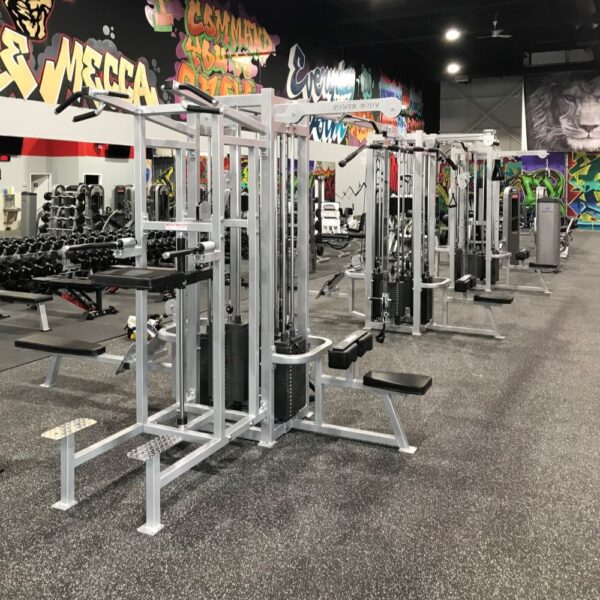 Power Body Jungle Gym with optional assisted chin-dip station