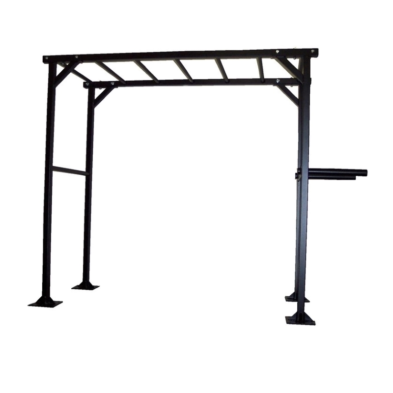 Monkey Bar Rig